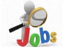 फेस्टिव सीजन के दौरान जारी है हायरिंग का दौर, इन क्षेत्रों में हैं मौके ही मौके