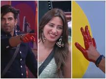 Bigg Boss 13: शहनाज के बाद अब माहिरा के लिए धड़का पारस का दिल, बोले- ला तेरी मांग भर दूं