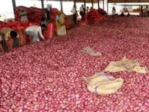 प्रयागराज: प्याज के जमाखोरों पर नकेल कसने की तैयारी में प्रशासन, बारह टीमों का हुआ गठन