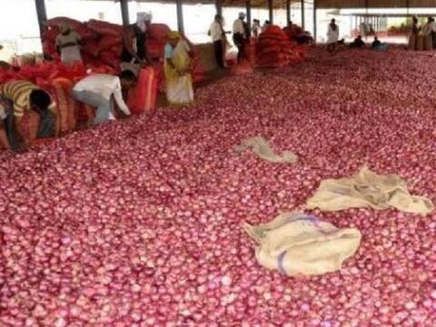 प्रयागराज: प्याज के जमाखोरों पर नकेल कसने की तैयारी में प्रशासन, बारह टीमों का हुआ गठन प्रयागराज: प्याज के जमाखोरों पर नकेल कसने की तैयारी में प्रशासन, बारह टीमों का हुआ गठन