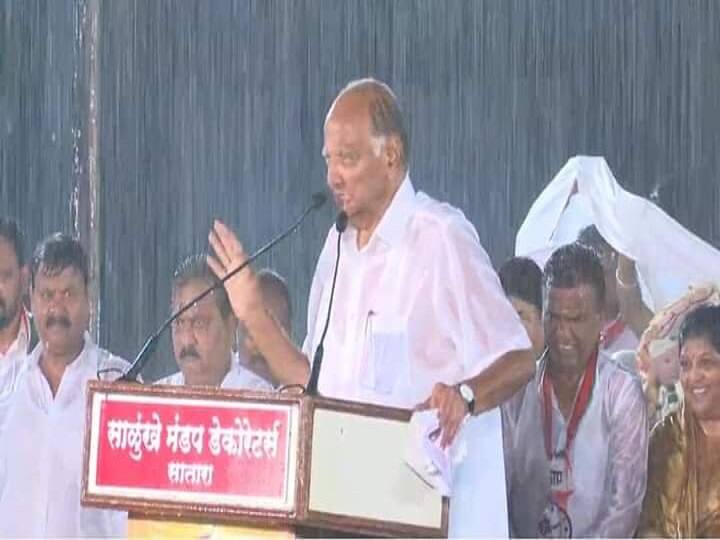 Maharashtra NCP Chief Sharad Pawar continues his speech even as it rains in Satara शरद पवार ने भारी बारिश में किया रैली को संबोधित, कहा- इंद्रदेव ने विधानसभा चुनाव के लिए आशीर्वाद दिया है