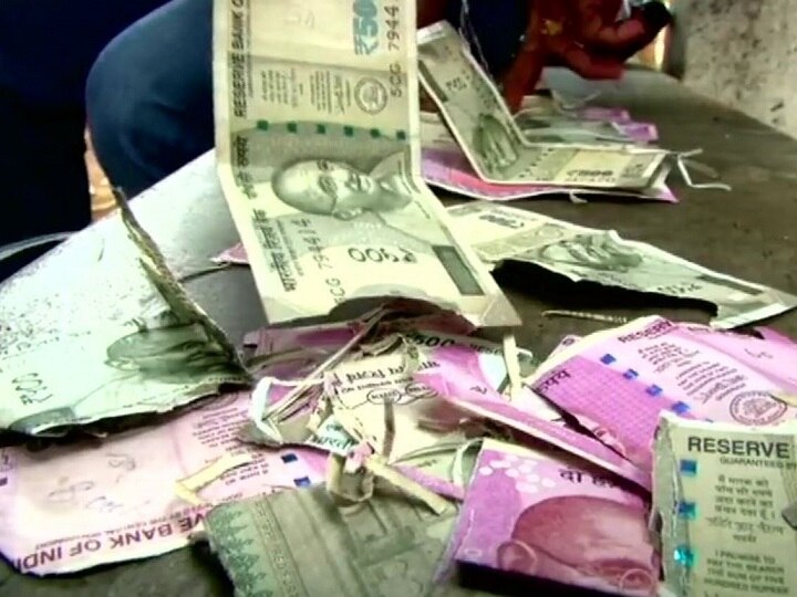 Tamil Nadu: 50000 cash kept by a farmer in a bag was damaged by rats तमिलनाडु: कोयंबटूर में चूहों ने कुतरे किसान के 50 हजार रुपए, बैंक ने नोट बदलने से किया इनकार