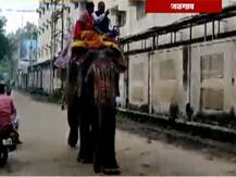 महाराष्ट्र चुनाव: व्यापारी ने मतदान जागरूकता के लिए अपनाया अनोखा तरीका, हाथी पर सवार होकर पोलिंग बूथ पहुंचे