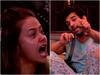 बिग बॉस 13: चायपत्ती छुपाने को लेकर पारस और आसिम के बीच जोरदार झड़प, देबोलीना के छलके आंसू