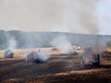 दिल्ली-NCR में प्रदूषण की स्थिति गंभीर, पंजाब-हरियाणा में पराली जलाने की घटनाएं बढ़ने से हालात बेकाबू