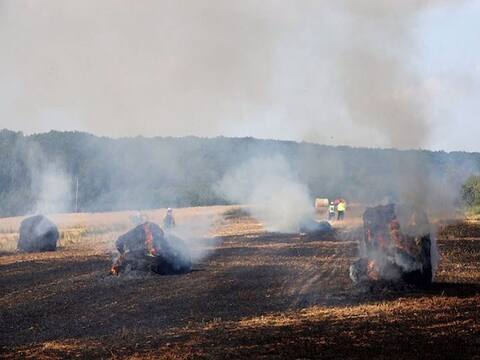 दिल्ली-NCR में प्रदूषण की स्थिति गंभीर, पंजाब-हरियाणा में पराली जलाने की घटनाएं बढ़ने से हालात बेकाबू दिल्ली-NCR में प्रदूषण की स्थिति गंभीर, पंजाब-हरियाणा में पराली जलाने की घटनाएं बढ़ने से हालात बेकाबू