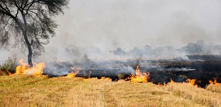 Union Govt Urges States To Improve Focus On Stubble Administration Amid Air High quality Issues In Del