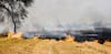 Stubble Burning: इस राज्य में पराली जलाने वालों की खैर नहीं, जेब से भरना होगा इतना जुर्माना