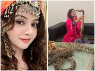 Pakistani singer Rabi Pirzada who threatened Modi with snakes and ...