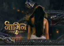 \'कुंडली भाग्य\' और \'कुमकुम भाग्य\' में मशहूर किरदार निभा चुकीं अभिनेत्री निभाएंगी \'नागिन 4\' में अहम किरदार?