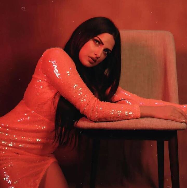 शहनाज, हिमांशी से माफी मांगती रहीं और उन्होंने बैठकर बात करने का अनुरोध किया, लेकिन हिमांशी अपने निर्णय पर काफी अडिग रहीं. (Photo Credit: @iamhimanshikhurana Instagram)