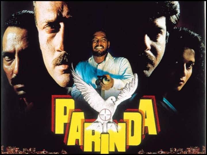 Prinda completes 30 years of its release, anil kapoor, madhuri dixit 'परिंदा' ने पूरे किए 30 साल, विधु विनोद चोपड़ा बोले- कश्मीरियों का मुंबई के प्रति नजरिया है ये फिल्म