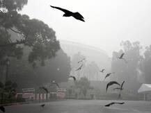 प्रदूषण: कोई एक ऐसी संस्था या वेबसाइट नहीं जिसके आंकड़े सभी फॉलो करते हों