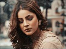 बिग बॉस 13: शहनाज़ क्यों छोड़ना चाहती हैं शो, क्या है हिमांशी के साथ उनकी कंट्रोवर्सी?