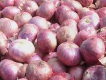 प्रयागराज: बिना कटे ही लोगों के आंसू निकाल रहा है प्याज, कीमतों ने लगाई सेंचुरी