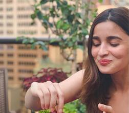 क्या आपको अभिनेत्री आलिया भट्ट के सबसे पसंदीदा खाने के बारे में पता है?