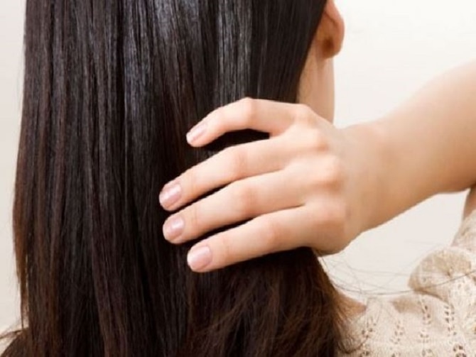 Hair Fall Is Directly Connected To Your Digestive System Know The Diet  Plane For Hair Loss | तेजी से झड़ते बालों का पेट के स्वास्थ्य से है संबंध,  जानें झड़ते बालों को