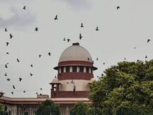 Ayodhya Verdict: खाली जमीन पर नहीं बनी थी बाबरी मस्जिद, लेकिन मंदिर था यह बात साबित नहीं की जा सकी- SC