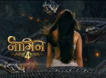 नागिन 4 में यह अभिनेत्री निभाएंगी दूसरी 'नागिन' का किरदार, एकता कपूर ने किया खुलासा