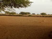 चक्रवाती तूफान 'महा' की ज़द में आया राजस्थान का ये जिला, अगले 48 घंटे में भारी बारिश का अलर्ट