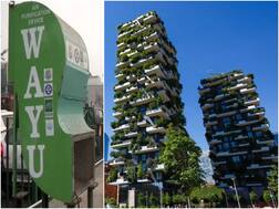 प्रदूषण पर बेअसर हैं रोडसाइड एयर प्यूरिफायर, नियंत्रण के लिए इन देशों से सीख सकता है भारत