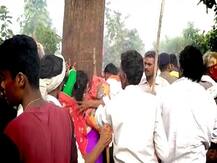 मातृभूमि: जंगल में पेड़ छूने से होगा चमत्कार, जब महिला परिवार सहित वहां पहुंची तो जानिए क्या हुआ?