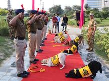 PHOTOS: दिल्ली मेट्रो की सुरक्षा में तैनात रहे 7 कुत्तों को CISF ने मेडल पहनाकर दी विदाई