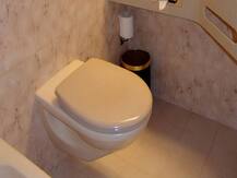 आज है वर्ल्ड टॉयलेट डे, इस मौके पर जानें टॉयलेट से जुड़े कुछ फैक्ट्स