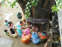 हिंदु धर्म में सबसे ज्यादा महत्व रखते हैं ये पेड़-पौधे