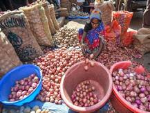 महंगाई से मिलेगी राहत: 1.2 लाख टन प्याज आयात करेगी सरकार, अभी दाम 100 के पार