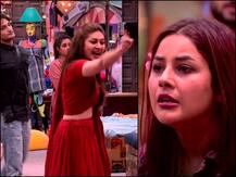 Bigg Boss 13: शेफाली बनीं घर की मास्टरमाइंड? आसिम को लेकर शहनाज से लिया पंगा