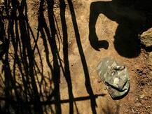 झारखंड में नक्सलियों का बड़ा हमला, लातेहार में पुलिस वैन पर फायरिंग में चार जवान शहीद