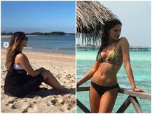 नरगिस फाखरी का खूबसूरत अंदाज सोशल मीडिया पर हो रहा है खूब वायरल, यहां देखिए तस्वीरें