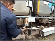 Watch: उत्तराखंड में ट्रेन से रेस्क्यू किया गया 10 फीट का 'किंग कोबरा', वीडियो आया सामने