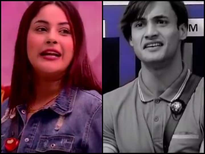 Bigg Boss 13, Shehnaz gill fight with asim riaz 'बिग बॉस 13' में टास्क के दौरान आसिम से भिड़ गईं शहनाज़ गिल, कहा- तू है लूज़र