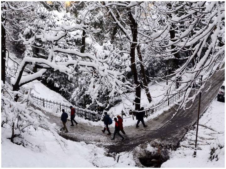 Himachal Pradesh snowfall in Kufri Bharmour Kalpa Keylong rain in Kangra and Dharamshala हिमाचल प्रदेश: कुफरी, भरमौर, कल्पा, केलांग में ताजा बर्फबारी, कांगड़ा और धर्मशाला में बारिश से ठंड बढ़ने की आशंका