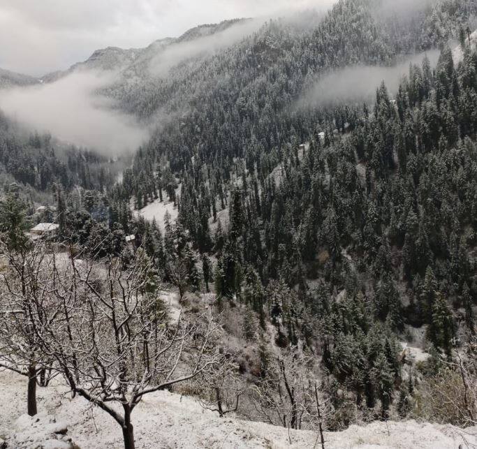 लाहौल और स्पीति, चंबा, कुल्लू, किन्नौर और सिरमौर जिलों के ऊंचाई वाले इलाकों में मंगलवार रात से हल्की बर्फबारी हो रही है.