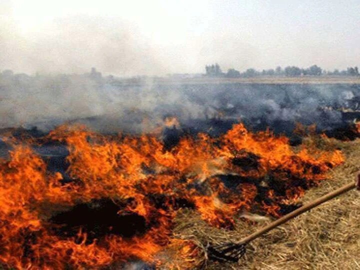 Chief Secretary sent notice to DM of 26 districts on burning stubble यूपी: पराली जलाने पर मुख्य सचिव सख्त, 26 जिलों के जिलाधिकारियों को भेजा नोटिस