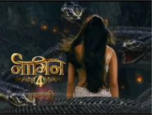 'बेला' और 'माहिर' की नहीं बल्कि इनसे जुड़ी है 'नागिन 4' की कहानी?