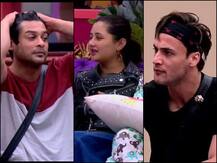 रश्मि ने सिद्धार्थ को कहा गुंडा तो, साथ देते हुए आसिम बोले- ये बोलती है तभी तुझे इतनी आग क्यों लगती है