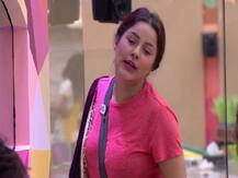 Bigg Boss 13: घरवाले मिलकर तोड़ रहे नियम, सिद्धार्थ शुक्ला को परेशान देख कुछ यूं भड़की शहनाज