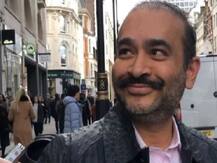 PNB घोटाला: PMLA कोर्ट ने नीरव मोदी को भगोड़ा घोषित किया, शुरू हो सकती है संपत्ति जब्त की कार्रवाई