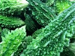 Health Tips: कड़वे करेले के ये फायदे जानकर रह जाएंगे हैरान