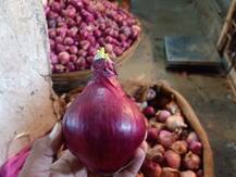 मुंबई के बाजारों में इजिप्ट का इम्पोर्टेड प्याज नहीं आ रहा लोगों को रास