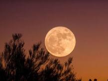 मार्गशीर्ष पूर्णिमा: इस दिन व्रत रखने से मिलती है मन को शांति, दूर होती हैं सारी उलझनें