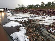 किसानों के लिए मुसीबत बनी बारिश, ओले पड़ने से मध्य प्रदेश और हरियाणा में फसलें बर्बाद