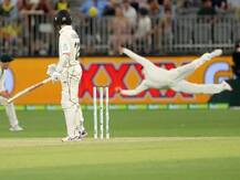 VIDEO: हवा में 'उड़ते हुए' स्मिथ ने पकड़ा ऐसा कैच, दर्शक रह गए दंग