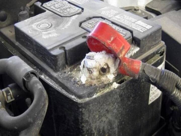 कार की बैटरी नहीं होगी खराब, अगर आप करेंगे ये 5 जरूरी काम Top 5 Car Battery Maintenance Tips कार की बैटरी नहीं होगी खराब, अगर आप करेंगे ये 5 जरूरी काम