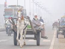 हिमाचल में भारी ठंड के बीच पंजाब में सर्दी के सितम से सिहरे लोग, न्यूनतम तापमान रहा 5 डिग्री