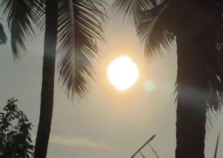  ये नज़ारा केरल के कोच्चि का है.